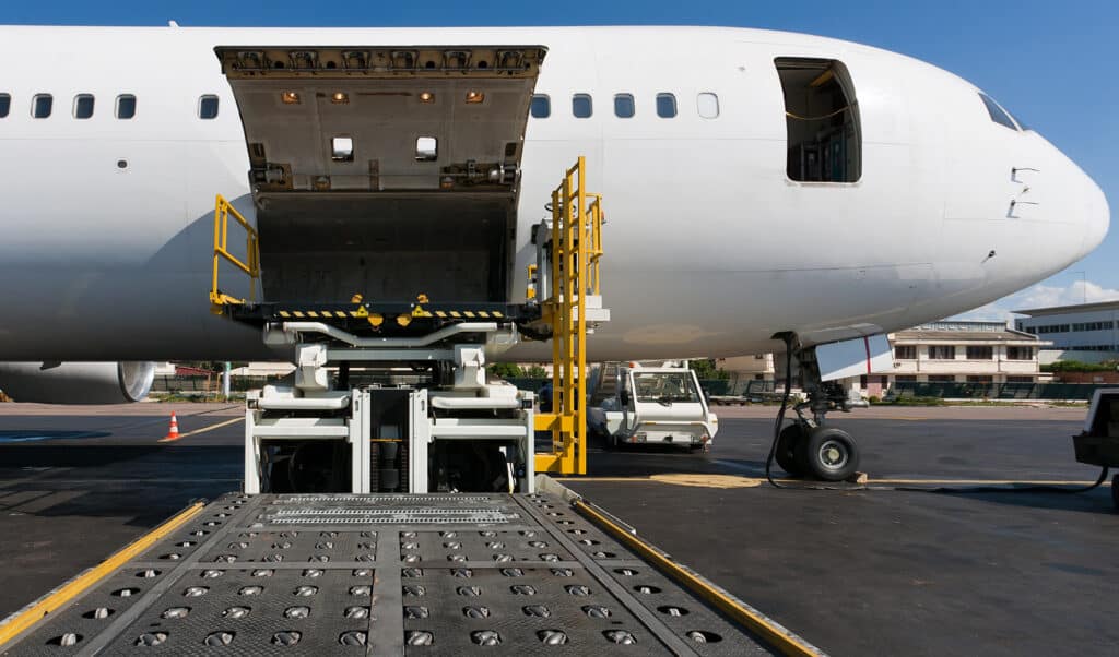 Open cargo aircraft door
